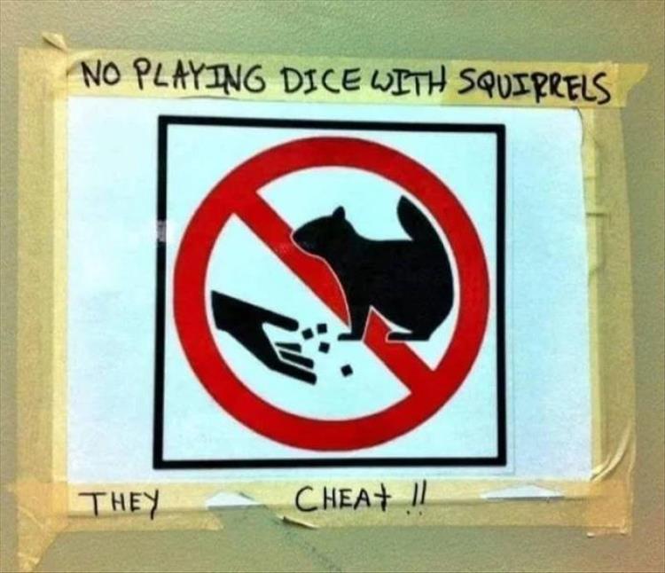 Squirrel cheats